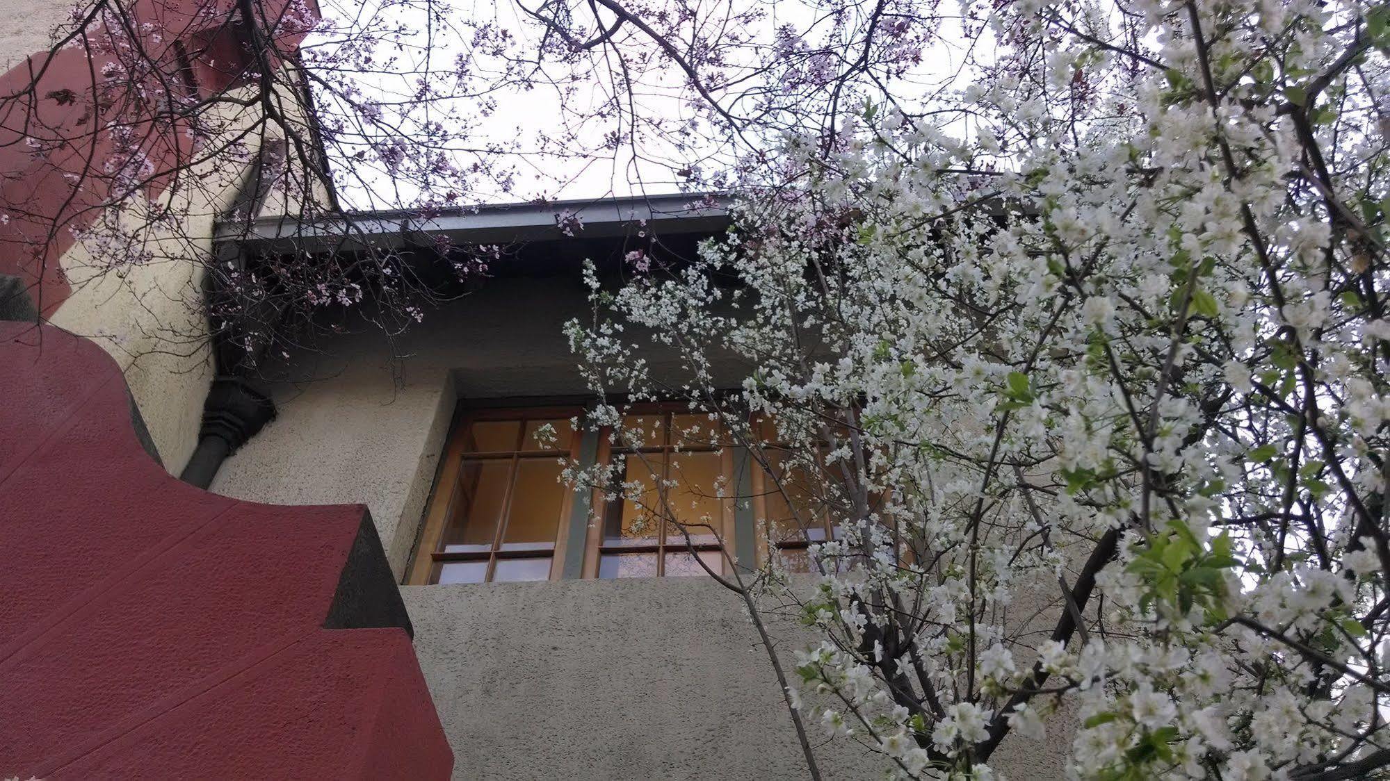 Providencia Bed & Breakfast ซานติอาโก ภายนอก รูปภาพ